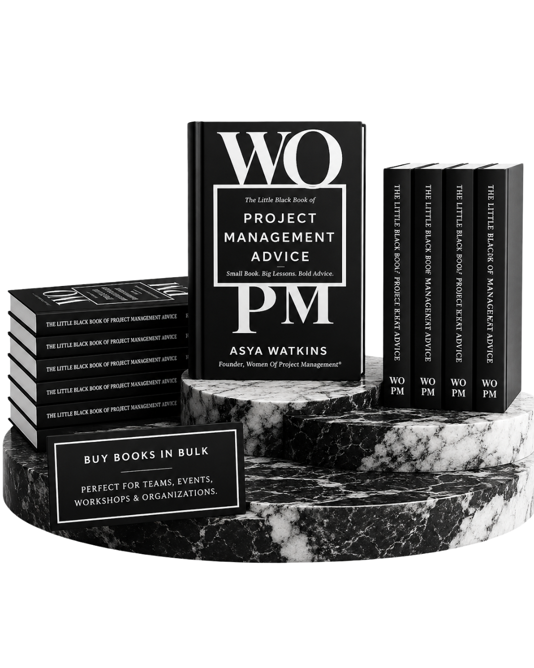 25-Book Corporate Bundle | The Little Black Book of Project Management Advice