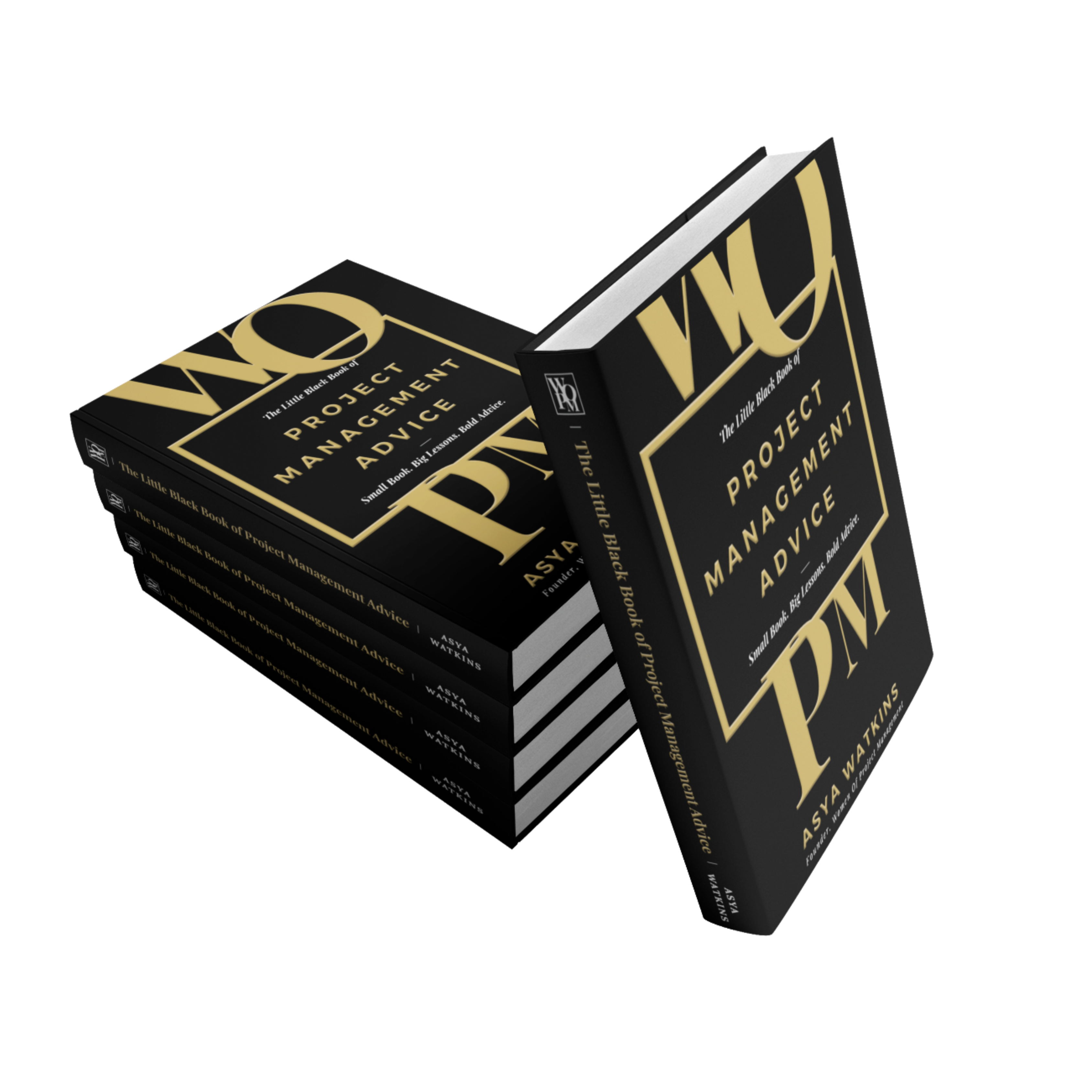 25-Book Corporate Set — The Little Black Book of Project Management Advice